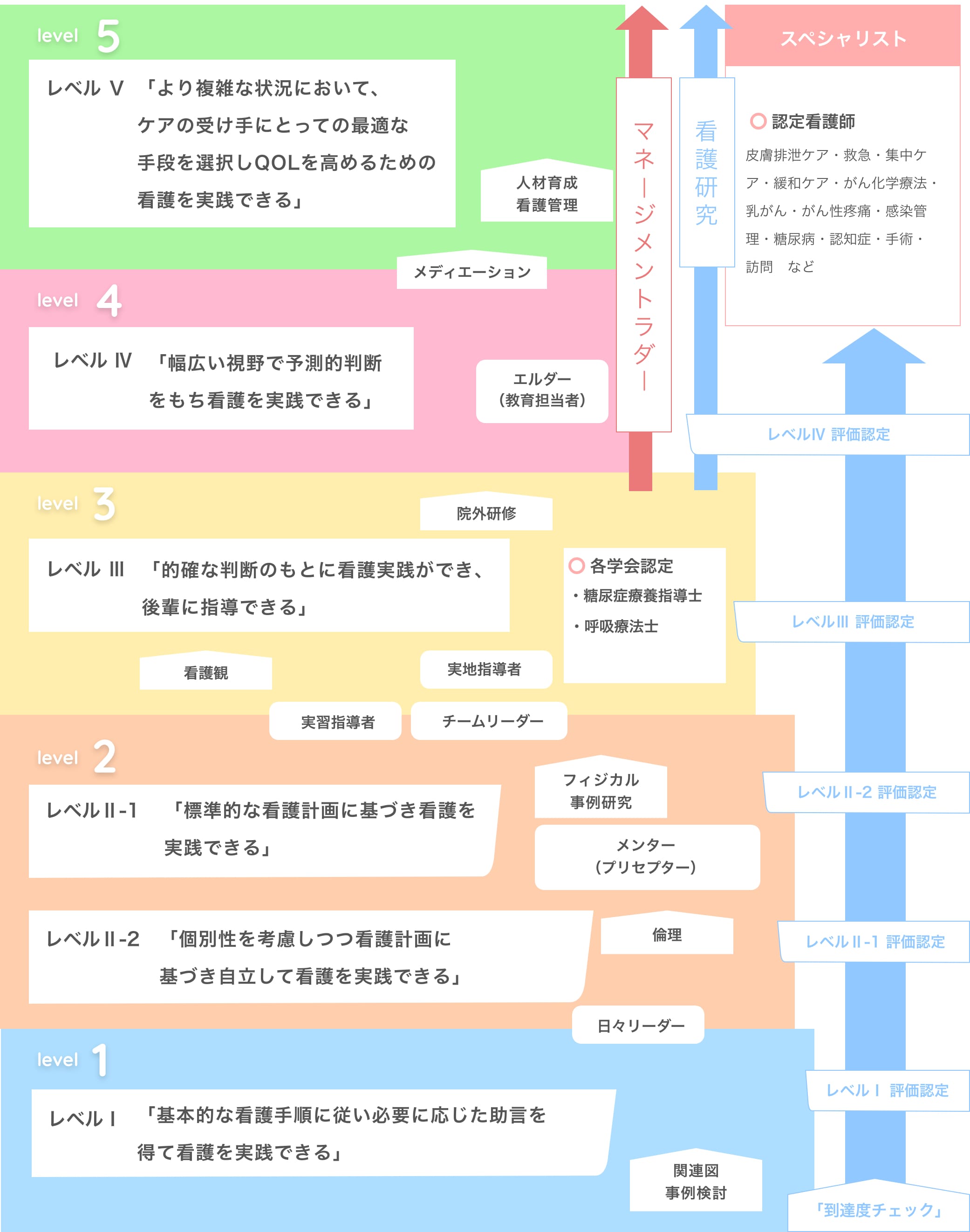 クリニカルラダー 教育・研修プログラム