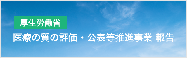 医療の質の評価・公表等推進事業 報告